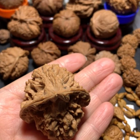 核桃偏*,佛肚单只一个