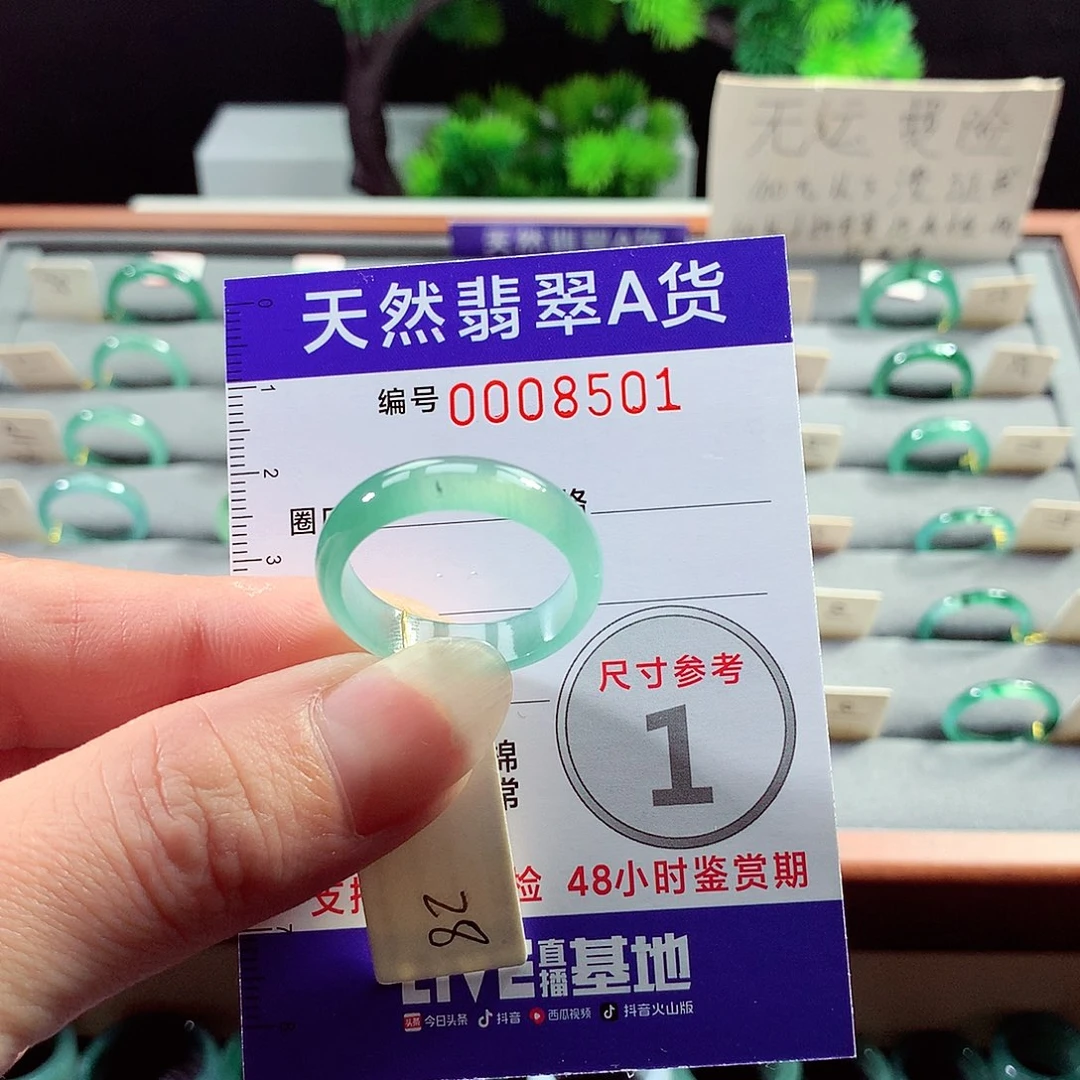 翡翠戒指未镶嵌28号