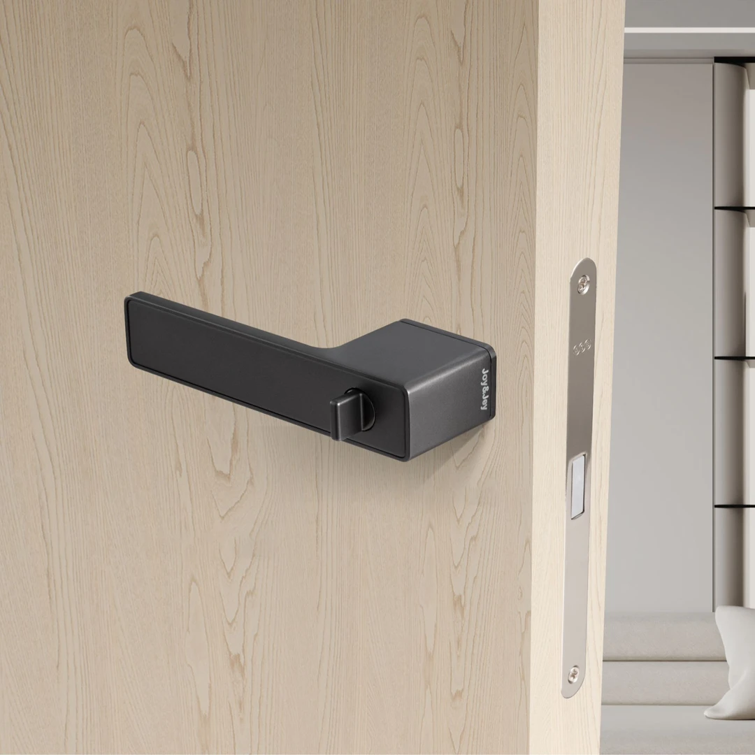 意大利Joy&Jey简悦极简门锁磁力静音电镀封釉工艺AGB锁体