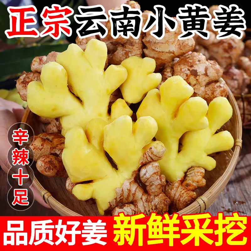 云南小黄姜新鲜生姜蔬菜南方蔬菜农家蔬菜蔬菜当季新鲜蔬菜老姜