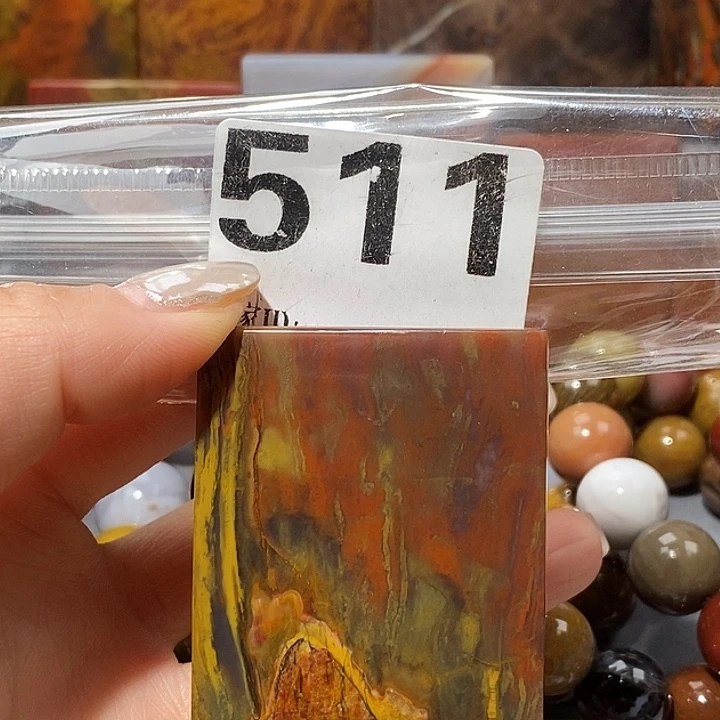 硅化玉未镶嵌天然北票树化玉吊坠