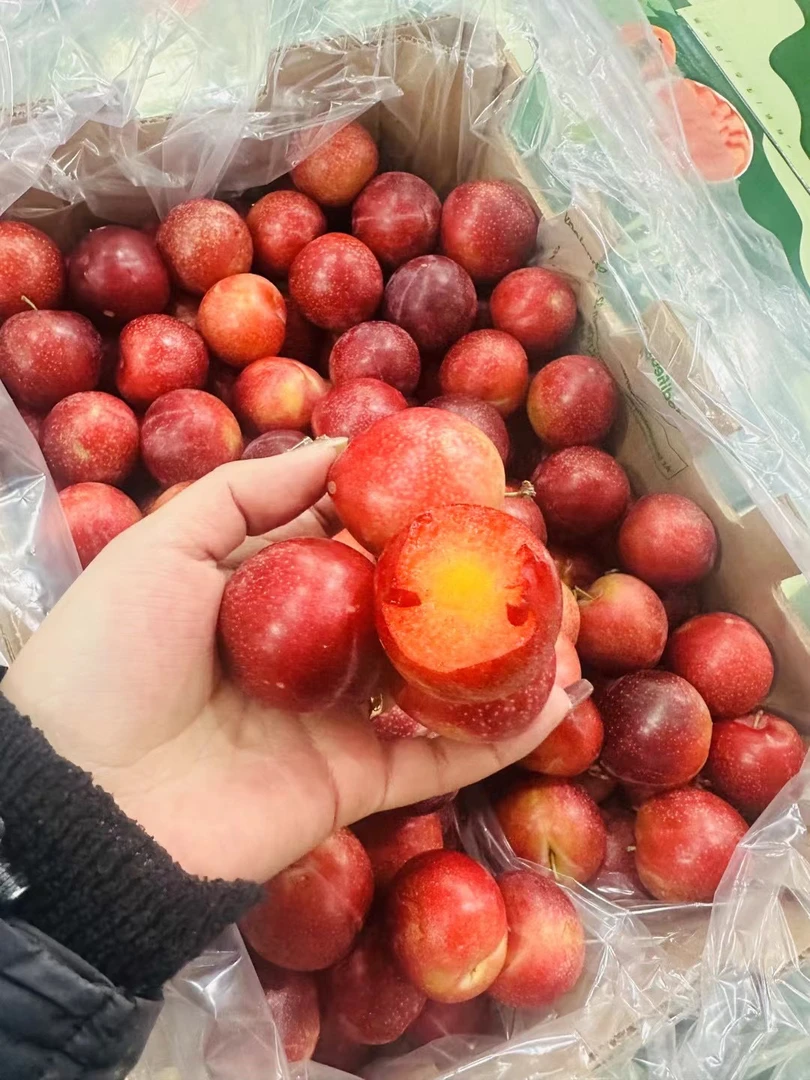 三j散装尝鲜樱桃李2斤（保温箱）