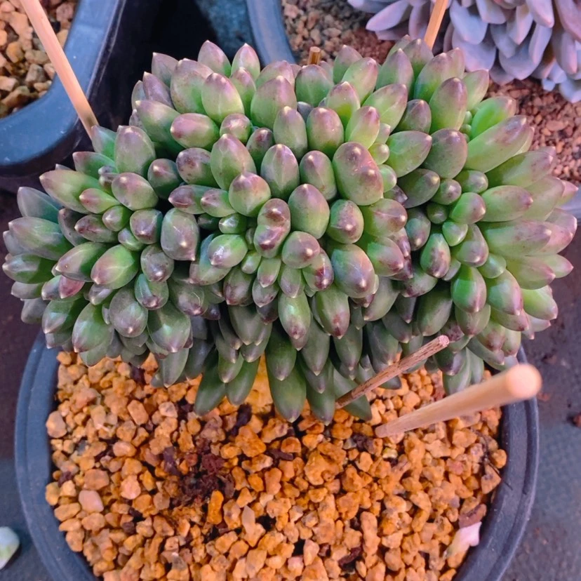 【闪购商品】起**！111111111