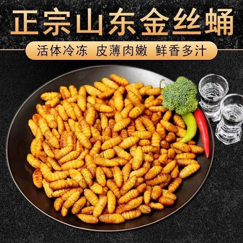 金丝蚕蛹新鲜鲜活冷冻山东特产农家烧烤商用黄金蛹桑蛹顺丰包邮