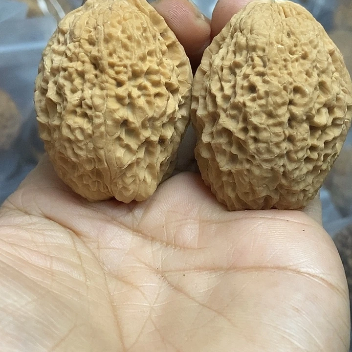 把件文玩核桃云南铁核桃基地78