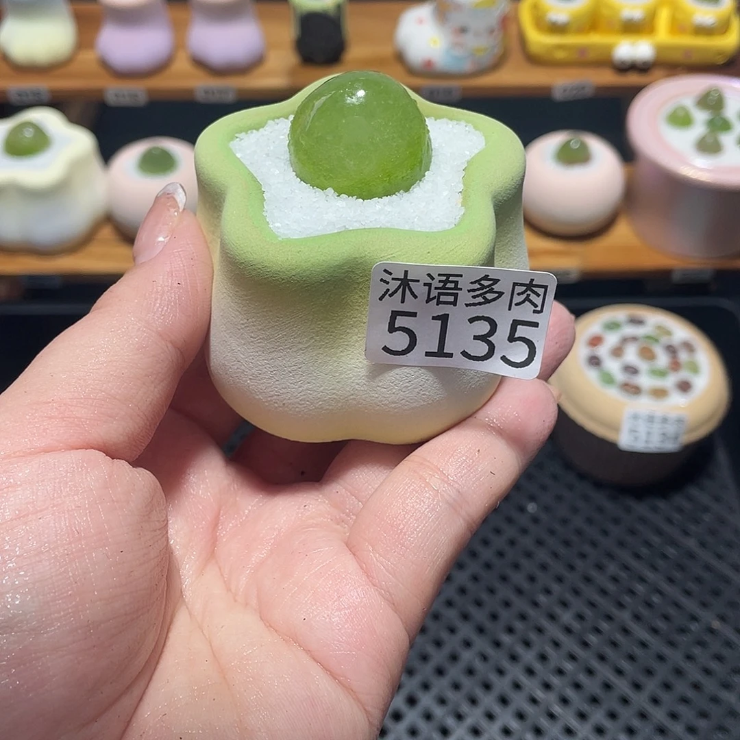 *****带盆土植物 一物一拍5135