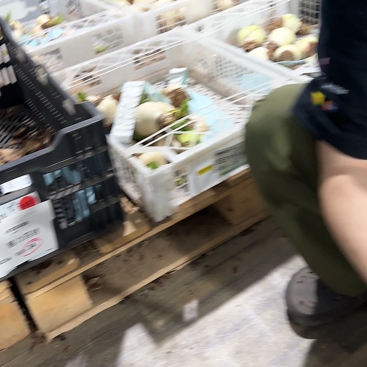 阿芙蕾5公分福利丑球