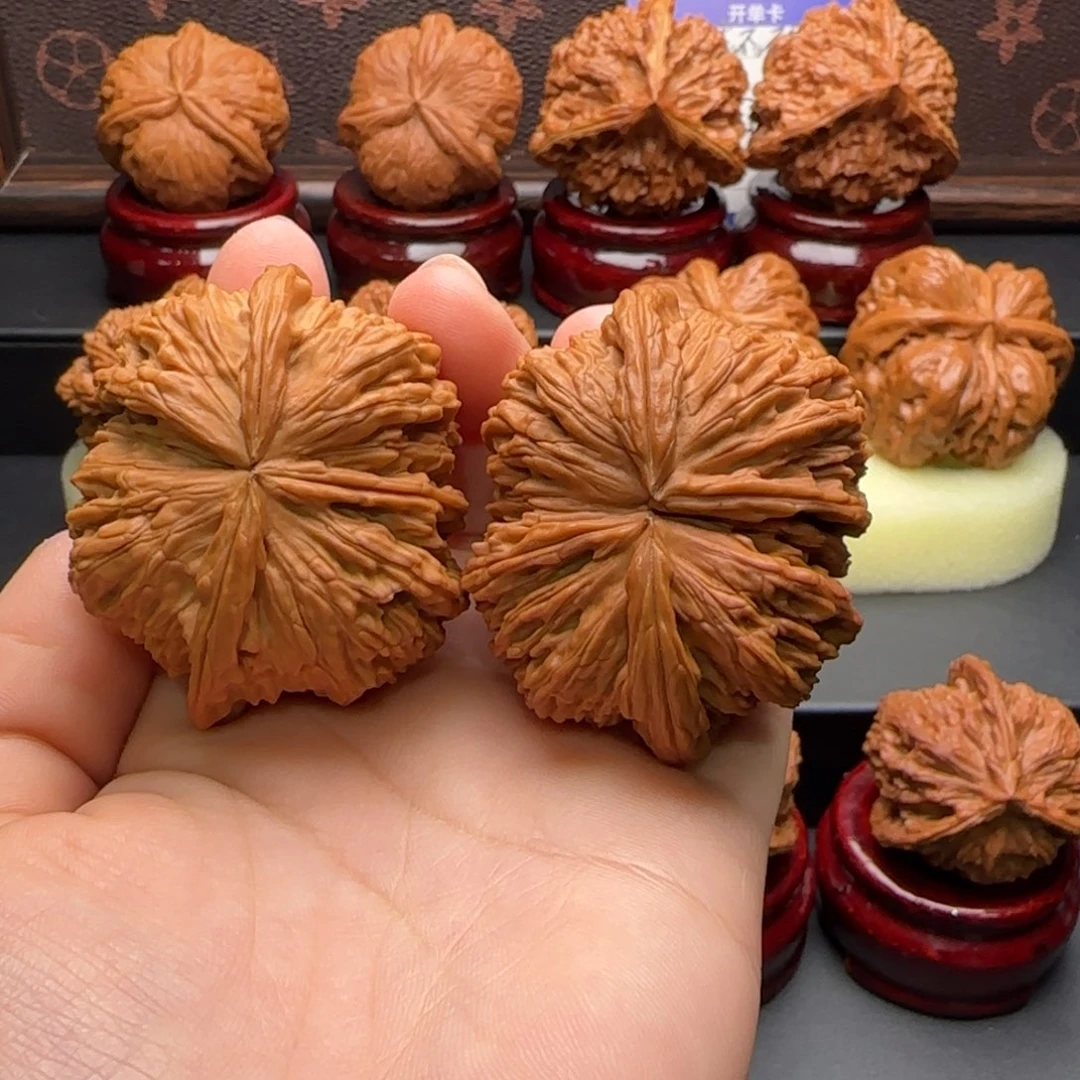 文玩核桃把件白狮子四棱球连 45尺寸