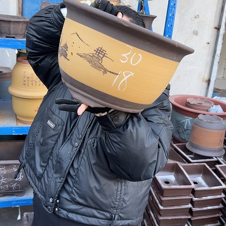 003花盆花盆花盆花盆花盆