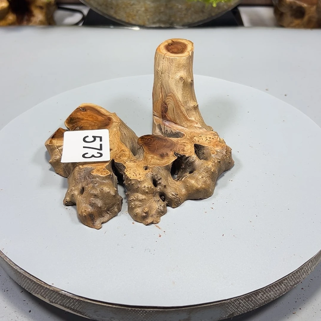 大果紫檀（缅甸花梨）破**事
