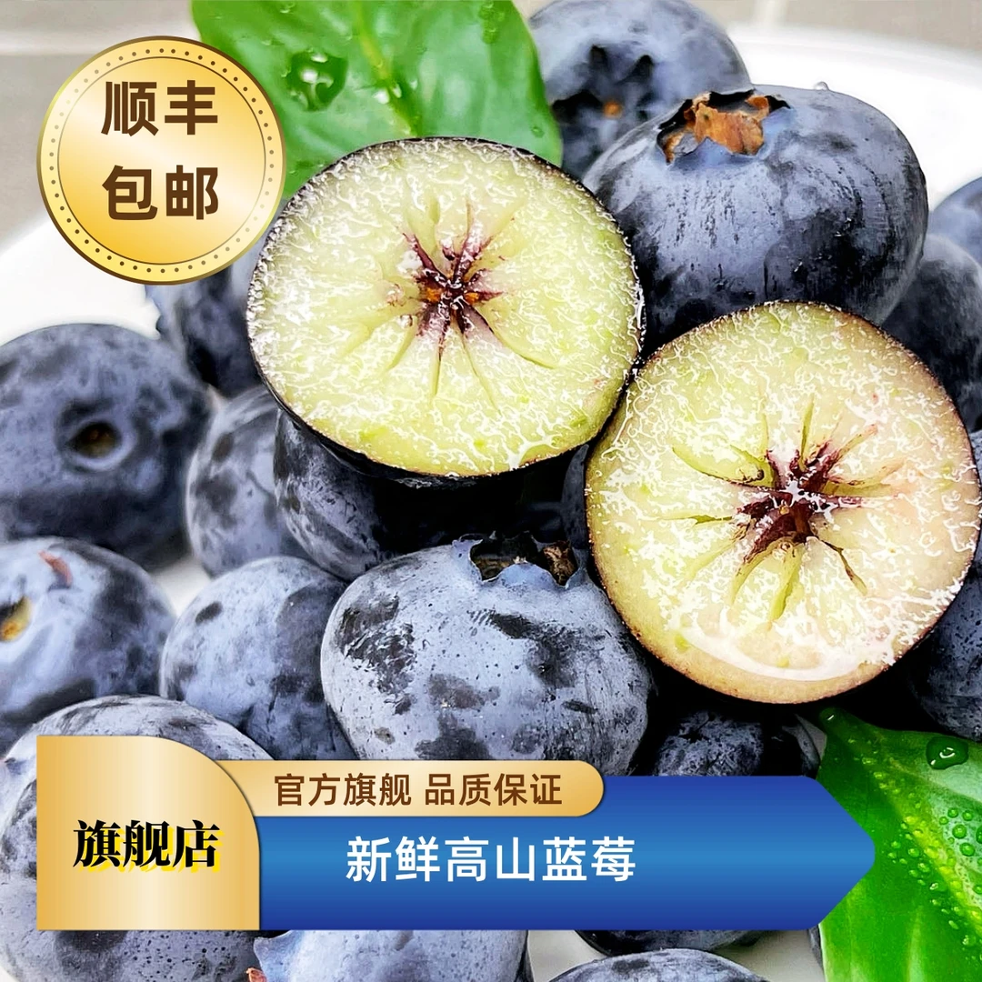 【年货节】22+果王蓝莓云蓝脆甜新鲜花青素125g/盒