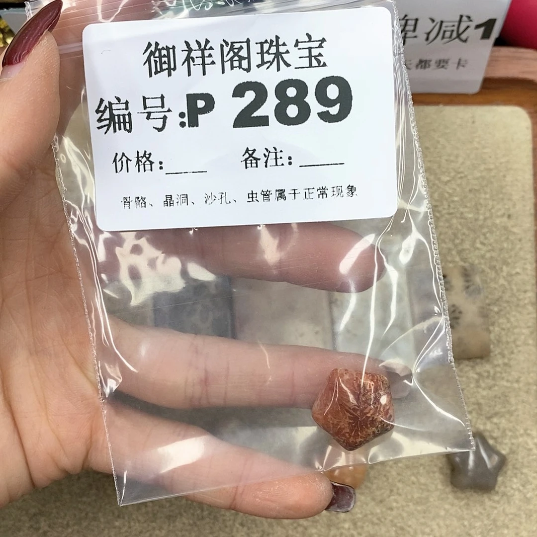 硅化珊瑚（珊瑚玉）P未镶嵌孤*