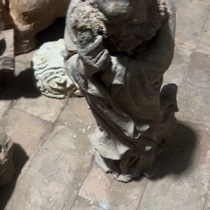 5***1香榧木88888888888888