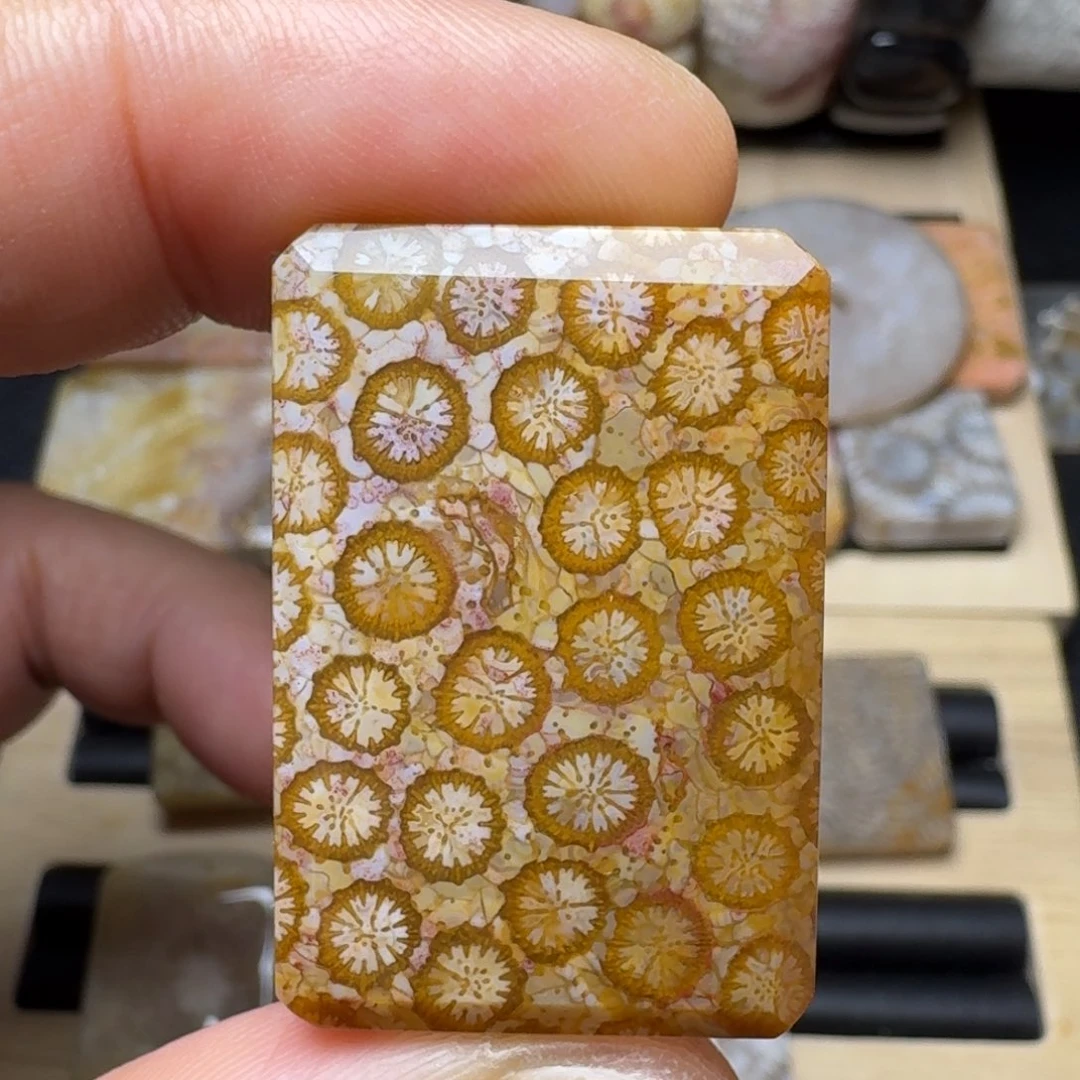 硅化玉未镶嵌纯天然色有机玉石保真色