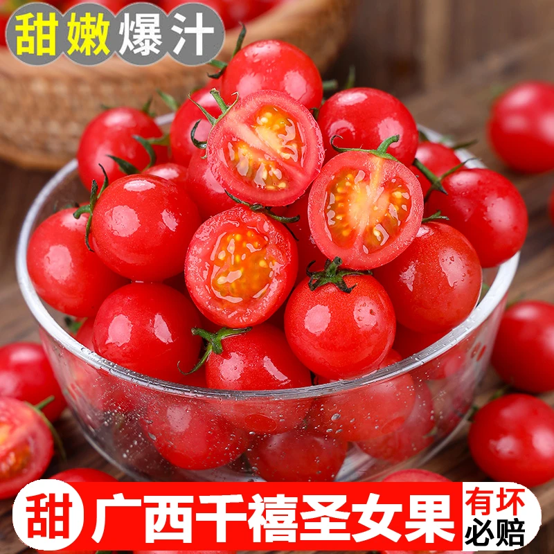 正宗广西千禧圣女果5斤小番茄小西红柿爆汁新鲜水果生吃爆甜3斤