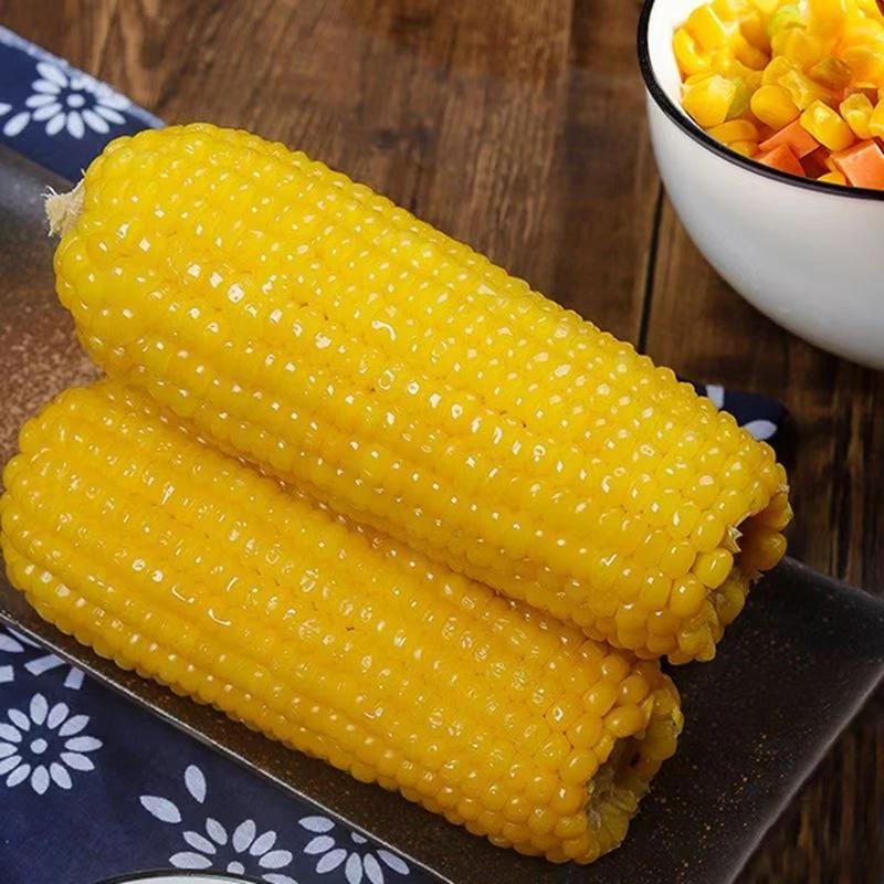 【整箱6-7斤】东北头茬黄糯玉米软糯香280克-350克10棒支持2棒试吃