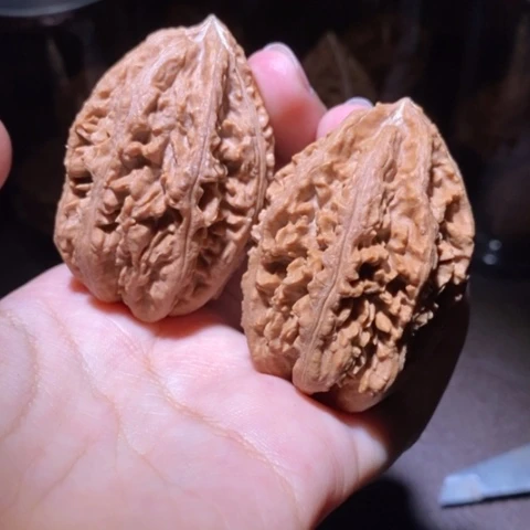 把件文玩核桃东北野生楸子小园 261