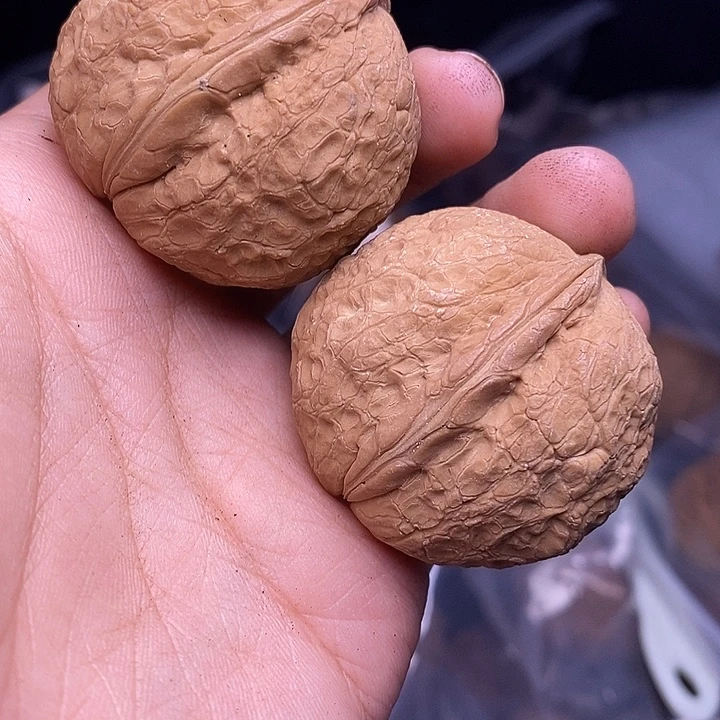 把件文玩核桃   222