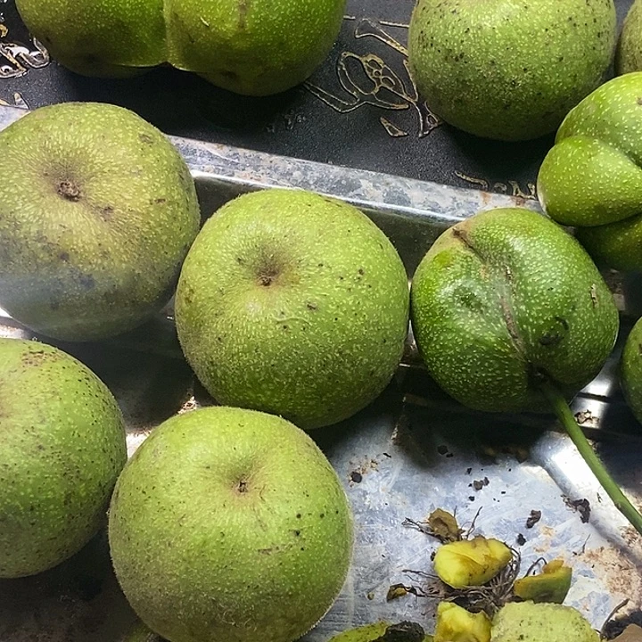 吊坠文玩核桃文玩核桃，全品无休