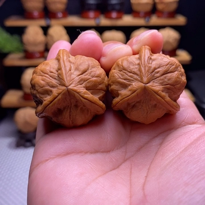 沈***子木质类云铁甲壳虫三棱3号