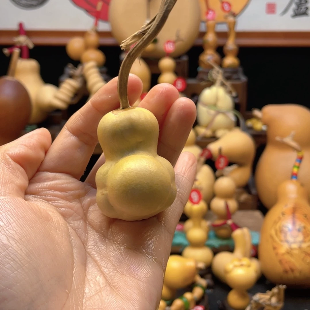 龙**主大自然的秘密第十节第