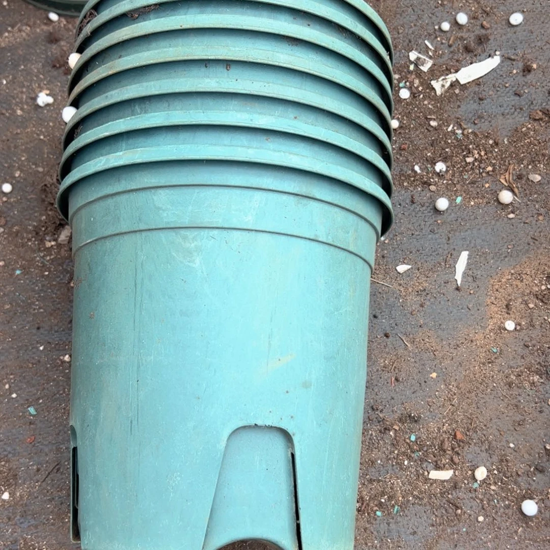 绿色加仑盆20口径20高 7个