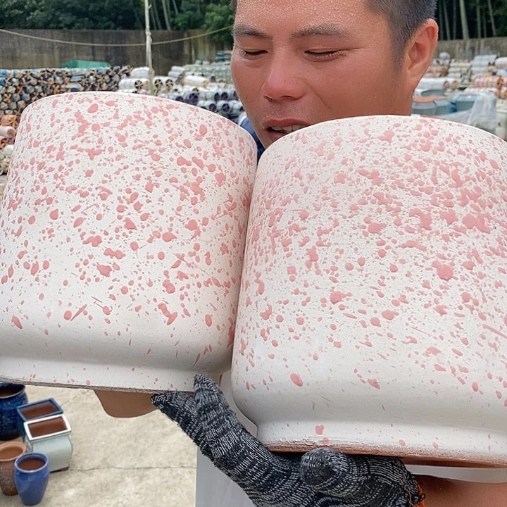正品品质抓紧入手