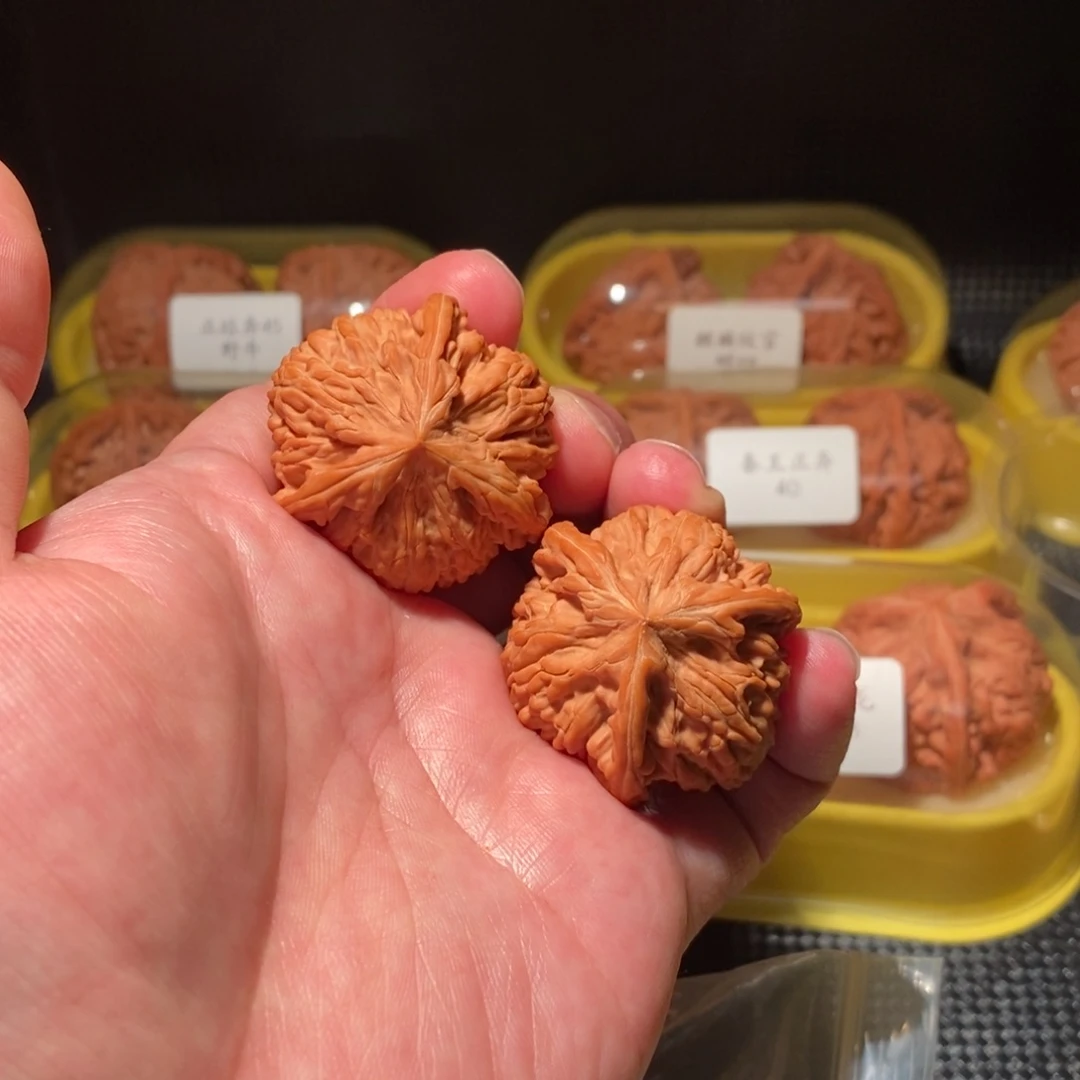 知***一38御龙粗筋正球奔精品对