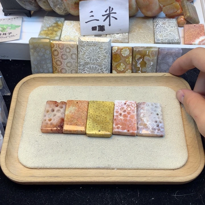 飘***云硅化珊瑚（珊瑚玉）未镶嵌颈饰