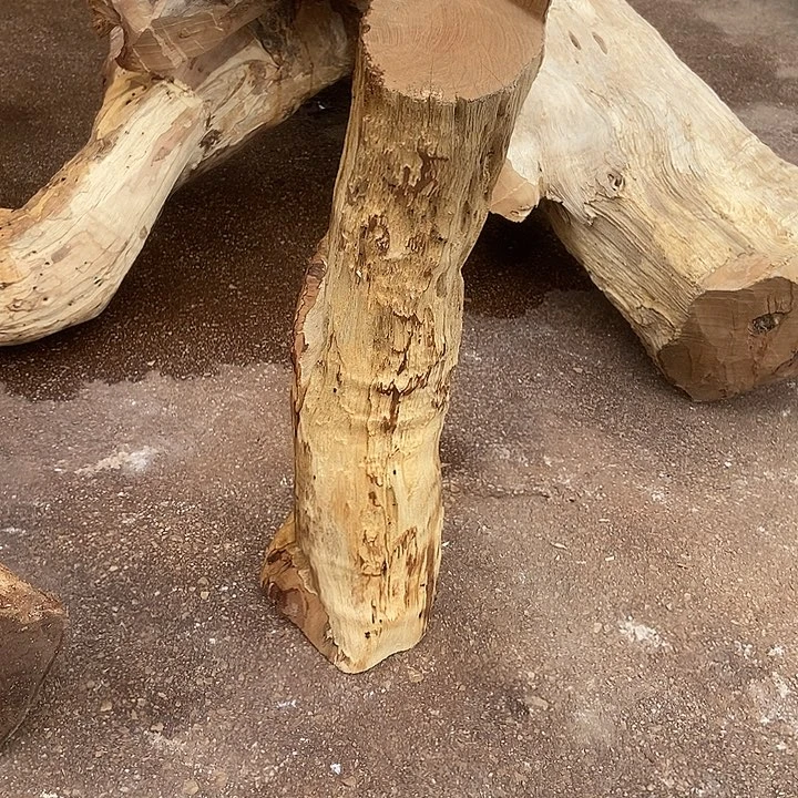 黄***者其他楠木（金丝楠）