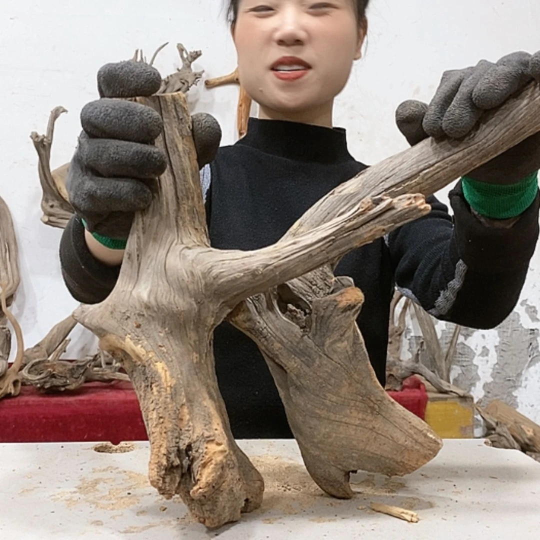 【闪购商品】柏木用****5我们都是好孩子