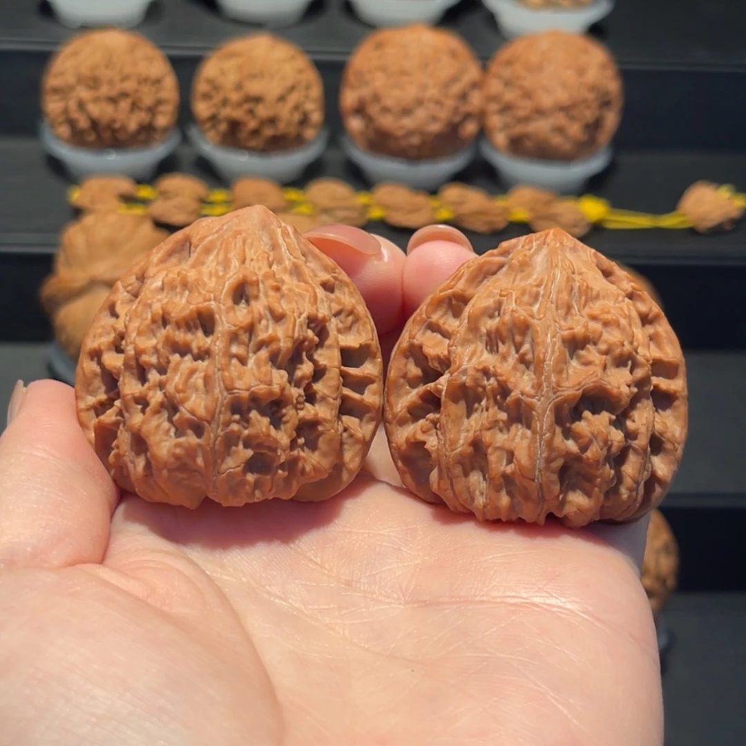 独家，野生，红梅42精品628