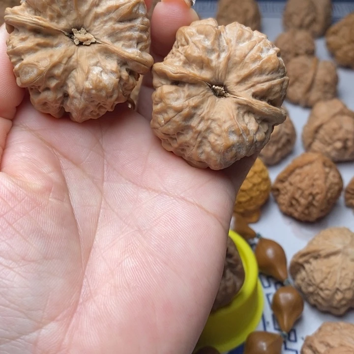 核桃111111111111111