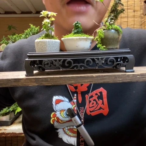 红陶一物一拍所见即所得2