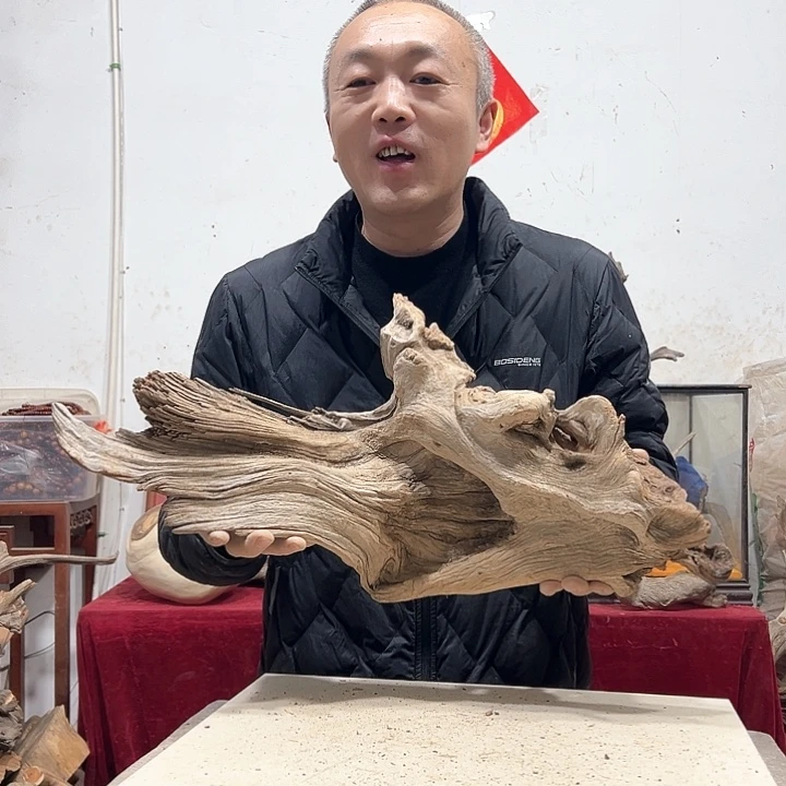 柏木郑**一我们的生活也是如此的