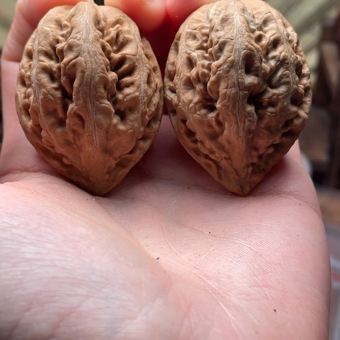 把件文玩核桃楸刀鱼72