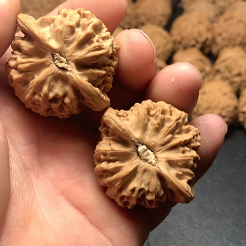 【闪购商品】文玩核桃把件9*2宫灯