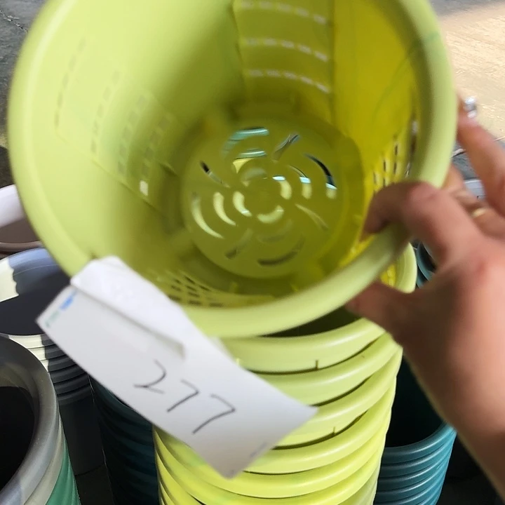 编号277串色6个无托