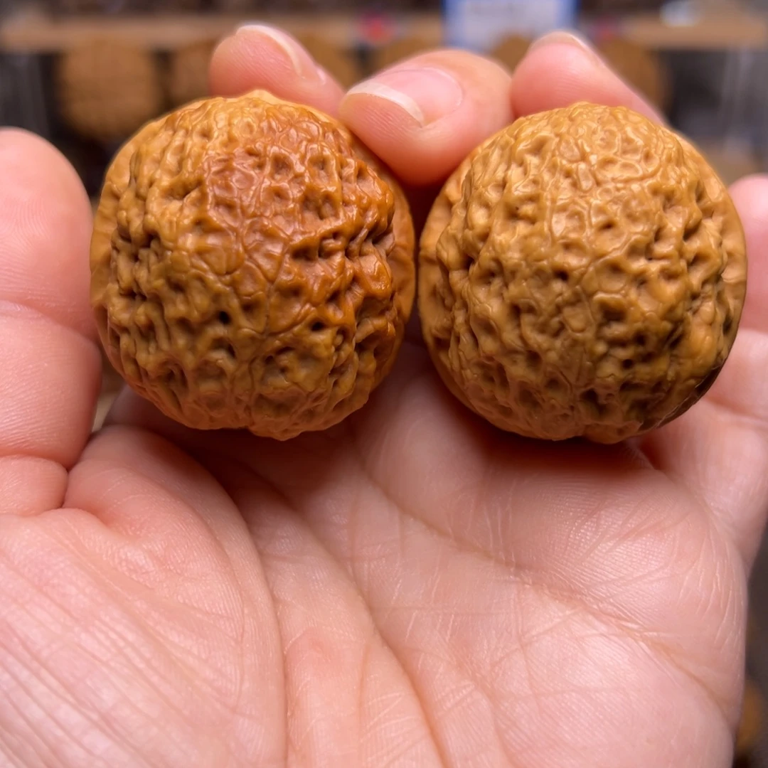 把件文玩核桃53w龙鳞铁狮子40尺