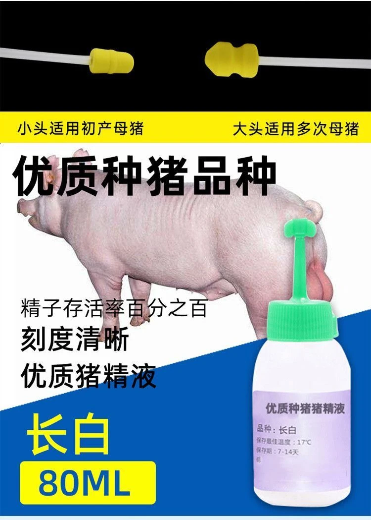 长白大白杜洛克等多种品种种公猪母猪精用于人工授精猪精液