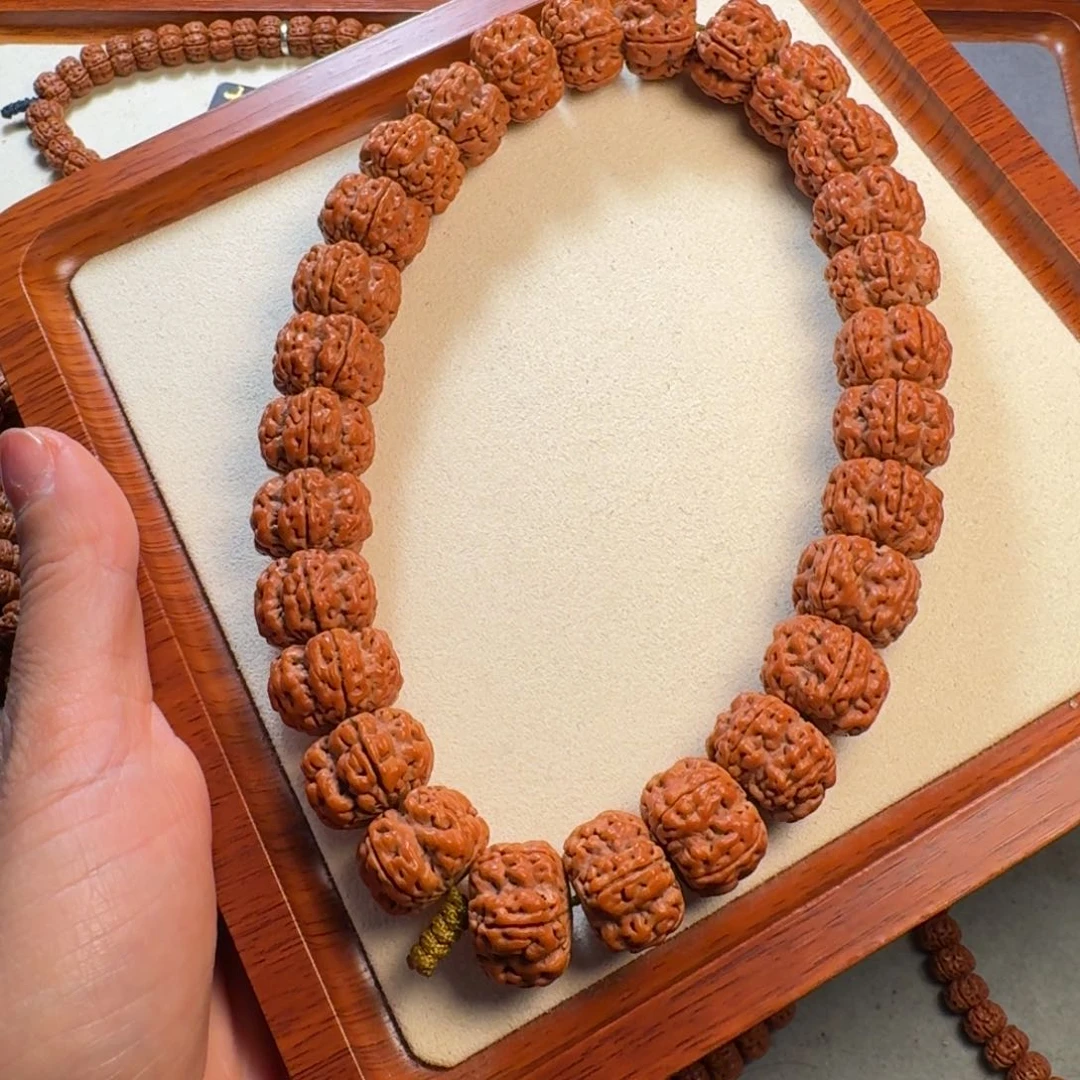 金刚菩提手串豆*芽帝王龙方墩梅花19