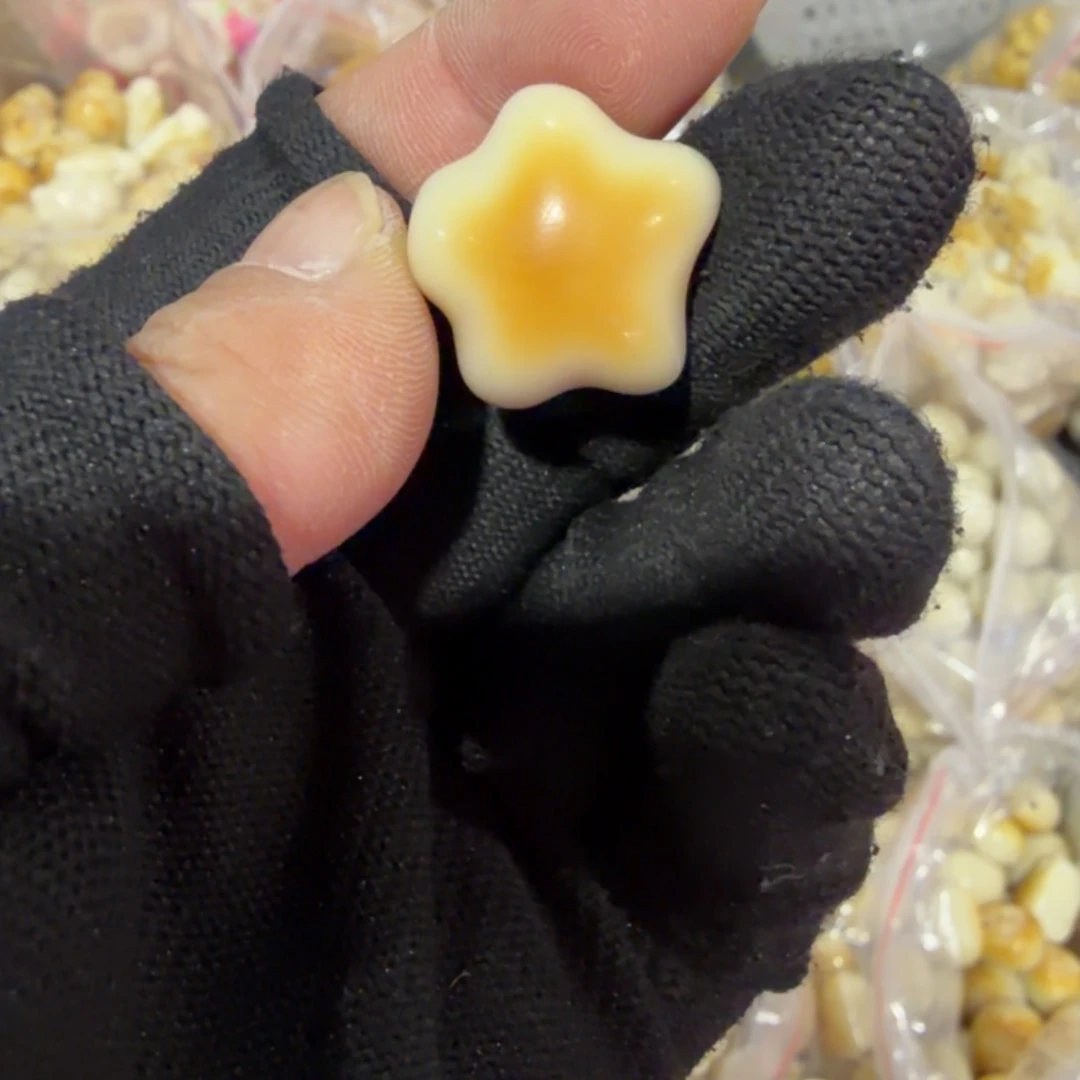 吊坠猴头核桃象牙果五角星单颗