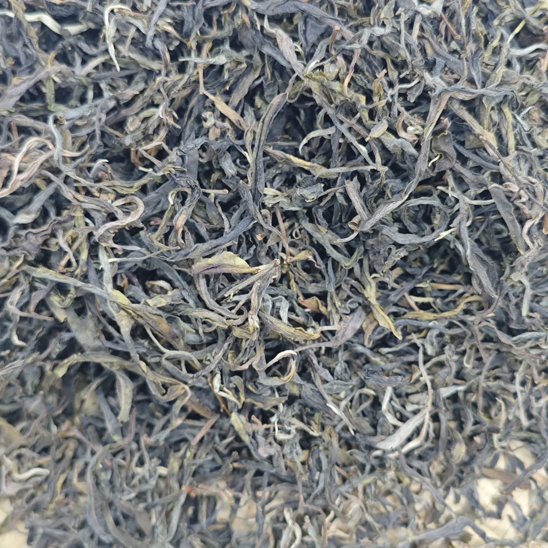 【茶农直供】2025年易武凤凰窝古树 云南普洱茶 生茶 、散茶
