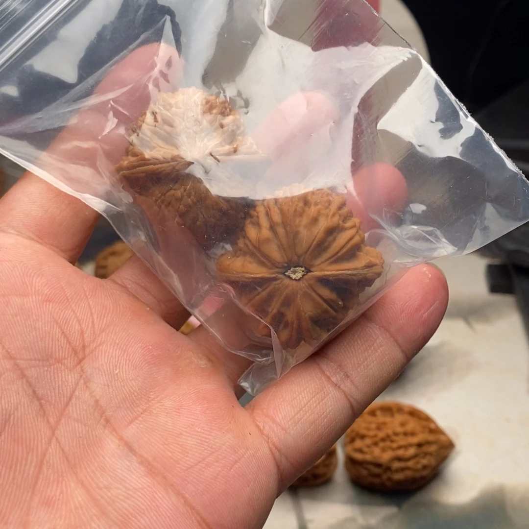 星***野文玩核桃吊坠37.5磨盘