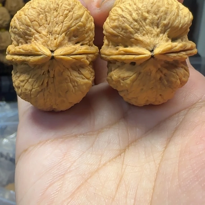 吊坠文玩核桃38海豚