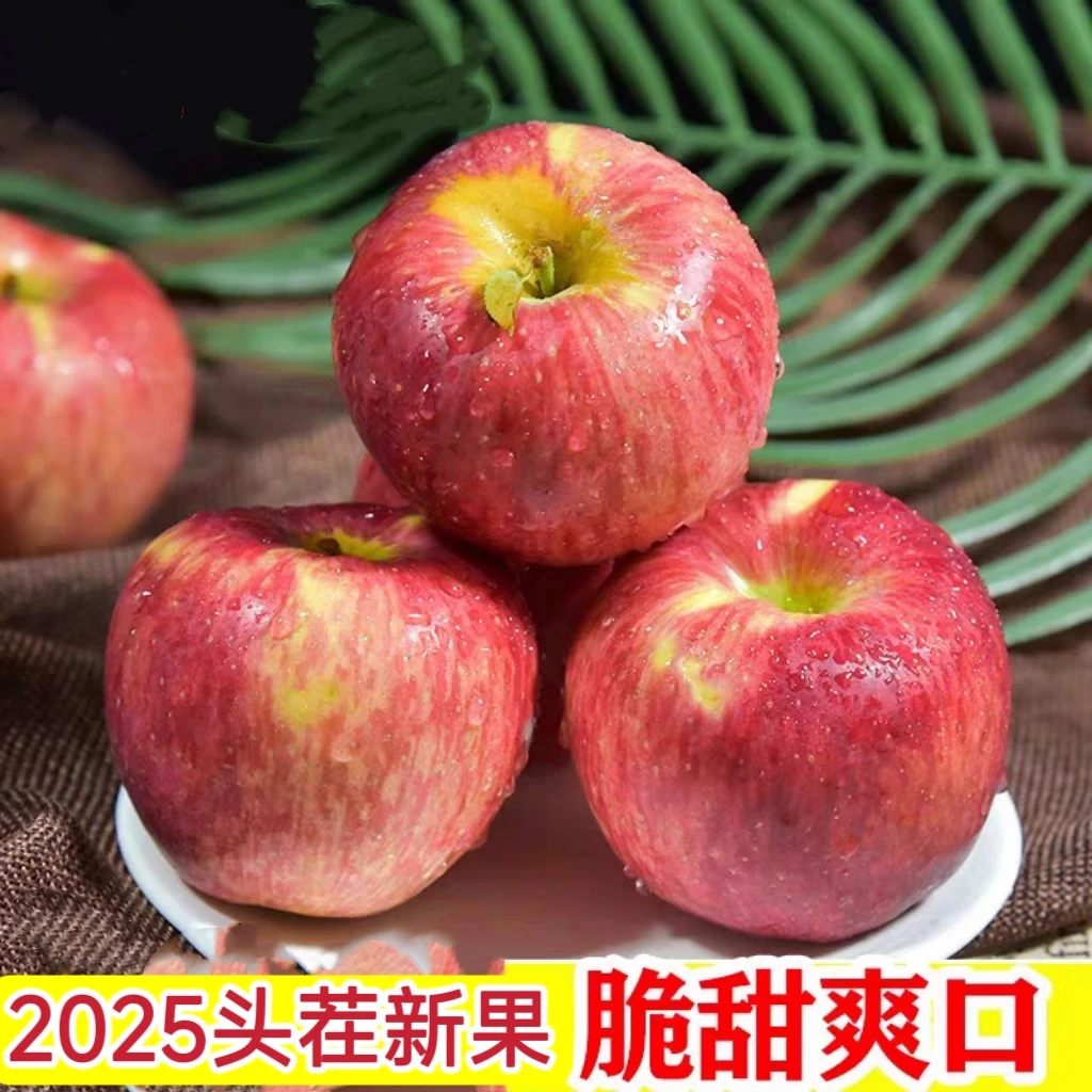 【XL】2025年云南鲁丽小苹果现摘当季新鲜丑苹果