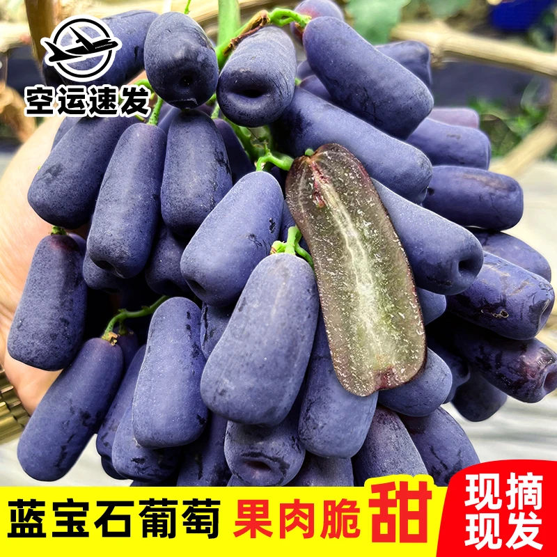 (空运速发)新鲜无籽蓝宝石金手指黑提葡萄饱满肉厚汁水足当季水果