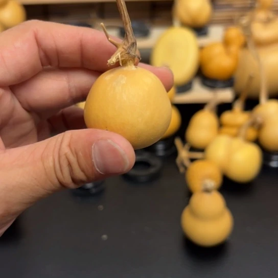 ?*北566999999999999