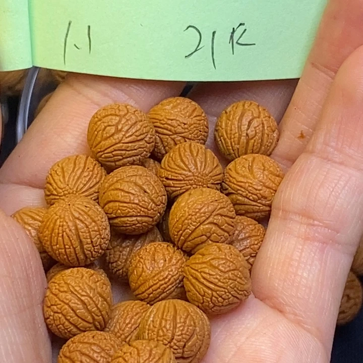 桃核吊坠秦岭龙纹11尺寸