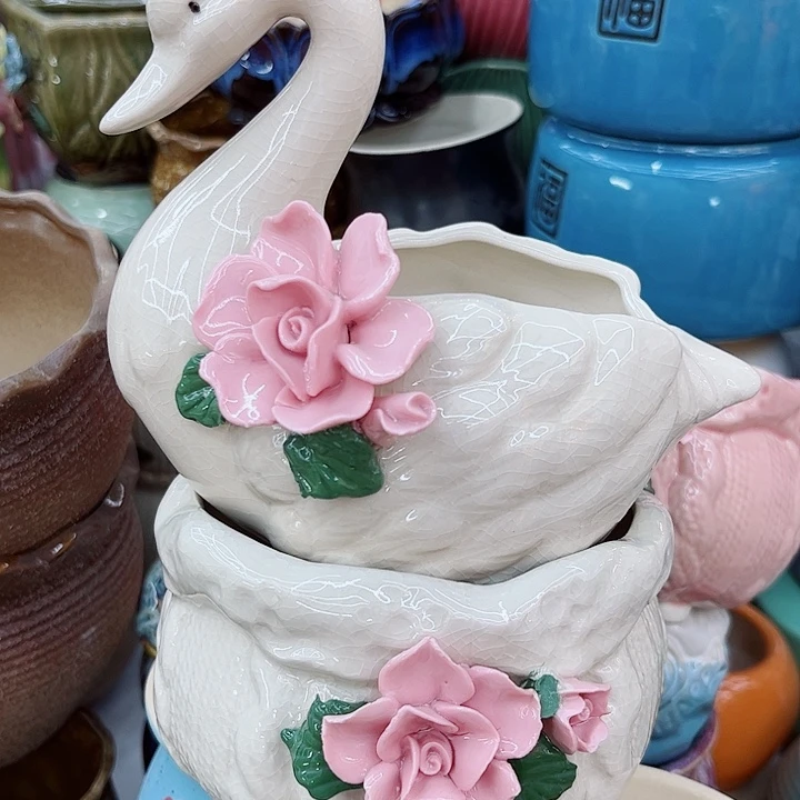 多肉植物陶瓷花盆